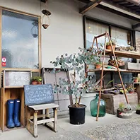 青とそよ風ノここち
店舗写真